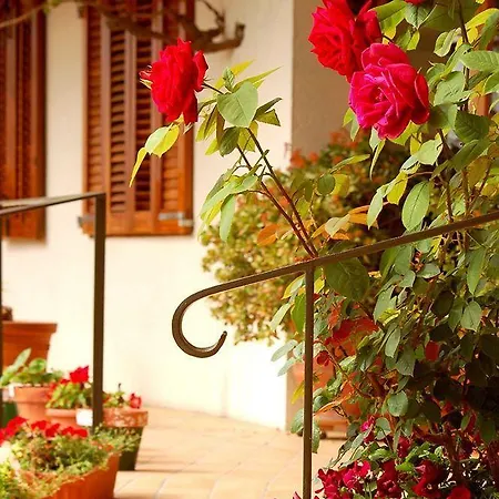 Hotel Antiga